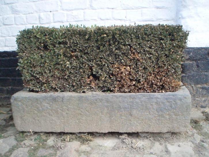 arduinen massieve blauwe hardstenen Trog, Tuin en Terras, Bloembakken en Plantenbakken, Ophalen