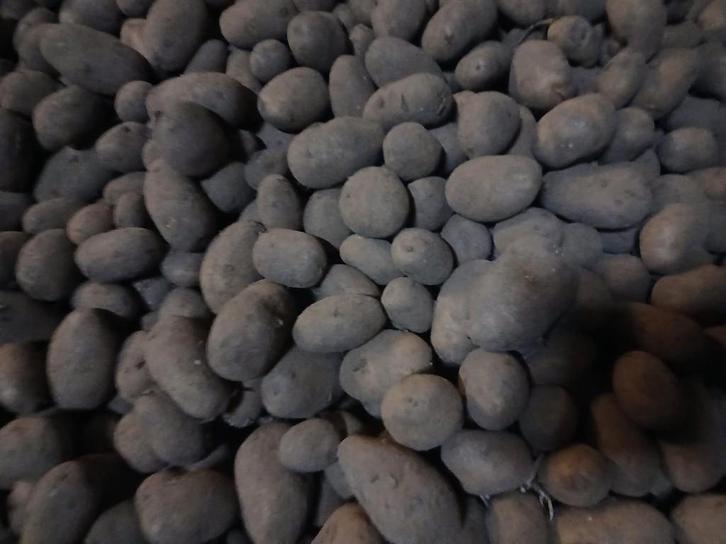 pomme de terre challenger, Divers, Produits alimentaires, Enlèvement