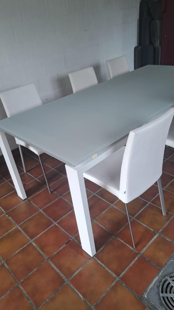 Tafel met stoelen, Ophalen, Gebruikt, 100 tot 150 cm, 200 cm of meer