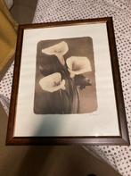 Schilderij met bloemen, Huis en Inrichting, Ophalen, 50 tot 75 cm, Zo goed als nieuw, Schilderij