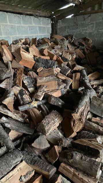 Brandhout kersenhout, 6 m³ ou plus, Enlèvement, Autres essences de bois, Bûches