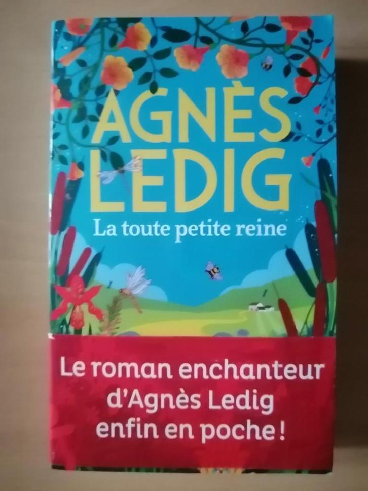 La toute petite reine d'Agnès Ledig, Boeken, Romans, Zo goed als nieuw, Ophalen of Verzenden