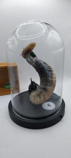 Cloche en verre avec led et coleoptères