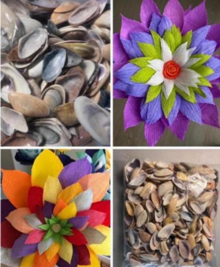 Couteaux schelpjes voor papieren bloemen, Kinderen en Baby's, Kinderkleding | Maat 104, Ophalen of Verzenden