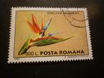 Roemenië/Roumanie 1995 Mi 5132(o) Gestempeld/Oblitéré, Postzegels en Munten, Postzegels | Europa | Overig, Verzenden