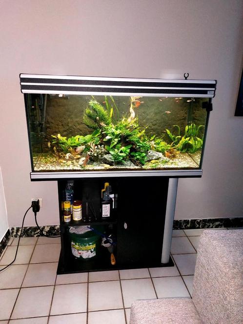 Aquatlantis, 1m met alles op en aan. Incl visbestand, Animaux & Accessoires, Poissons | Aquariums & Accessoires, Comme neuf, Enlèvement