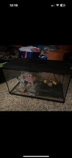 Aquarium, Animaux & Accessoires, Poissons | Aquariums & Accessoires, Enlèvement