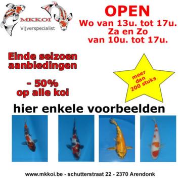 Koi aanbieding beschikbaar voor biedingen