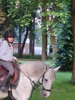 Springpony 12jaar, Dieren en Toebehoren, Pony's, Gechipt, Ruin, Springpony, 11 jaar of ouder