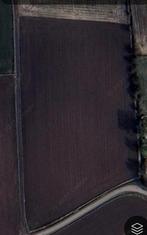 Landbouwgrond 1,46ha, Immo, Lebbeke, 1500 m² of meer