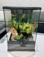 Exo terra 30x30x45cm ingericht, Ophalen, Zo goed als nieuw