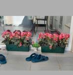 2 Kunstplanten, Tuin en Terras, Ophalen, Gebruikt