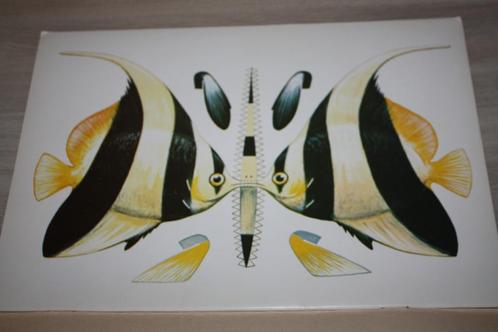 3 D vouwbladen tropische vissen +- 19 cm gebouwd, Boeken, Hobby en Vrije tijd, Zo goed als nieuw, Overige onderwerpen, Geschikt voor kinderen