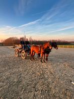 Tweespan paarden, Dieren en Toebehoren, Ophalen, Zo goed als nieuw, Recreatie