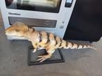Dinosaurus decoratie beeld 140 cm, Ophalen, Zo goed als nieuw