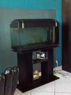 Aquarium avec meuble noir, Animaux & Accessoires, Enlèvement, Utilisé, Aquarium vide
