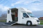 Fiat Ducato Horsetruck / 2 PAARDS / TREKHAAK 2500 KG / AIRCO, Autos, 4 portes, 2999 cm³, Tissu, Airbags