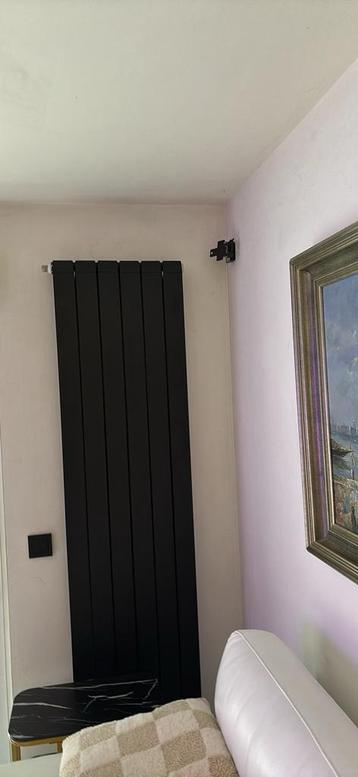 Radiateur noir verticale  beschikbaar voor biedingen