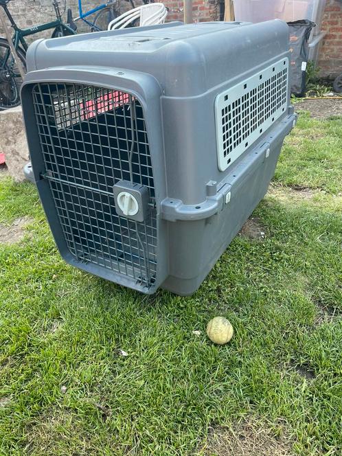 AniOne transportbox l, Dieren en Toebehoren, Transportboxen, Gebruikt, Ophalen