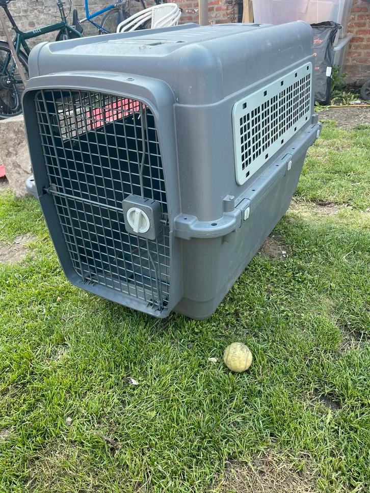 AniOne transportbox l, Dieren en Toebehoren, Transportboxen, Gebruikt, Ophalen
