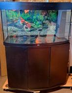 Juwel Aquarium Vision 180 Led, Dieren en Toebehoren, Vissen | Aquaria en Toebehoren, Ophalen, Gebruikt, Leeg aquarium