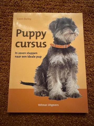 Pupy cursus beschikbaar voor biedingen