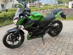 Kawasaki Z300 gekeurd met roos formulier, Motoren, Motoren | Kawasaki, Particulier