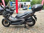 Honda FORZA 300, 1 cylindre, 12 à 35 kW, Scooter, 300 cm³