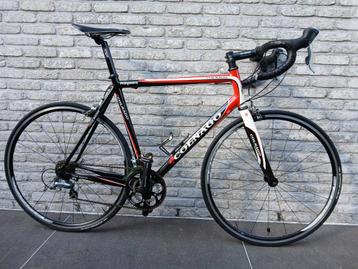 Colnago Primavera