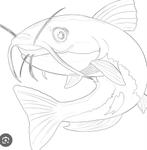 Visbestand!!!, Dieren en Toebehoren, Vis, Zoetwatervis