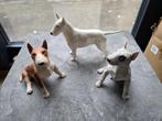 Bull terriër miniaturen- 3 stuks- beeldjes hond, Ophalen of Verzenden, Gebruikt