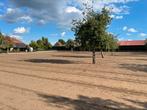 Inzaaien van gras/aanleggen van gazons, Tuin en Terras, Ophalen of Verzenden, Gras