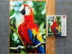 Puzzle 1000 pièces Trefl - Perroquet ara rouge, Honduras, Enlèvement ou Envoi, 500 à 1500 pièces, Comme neuf, Puzzle
