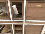 Konijnenhok 2 verdiepingen, Dieren en Toebehoren, Ophalen, 90 cm of meer, Hok, Hamster
