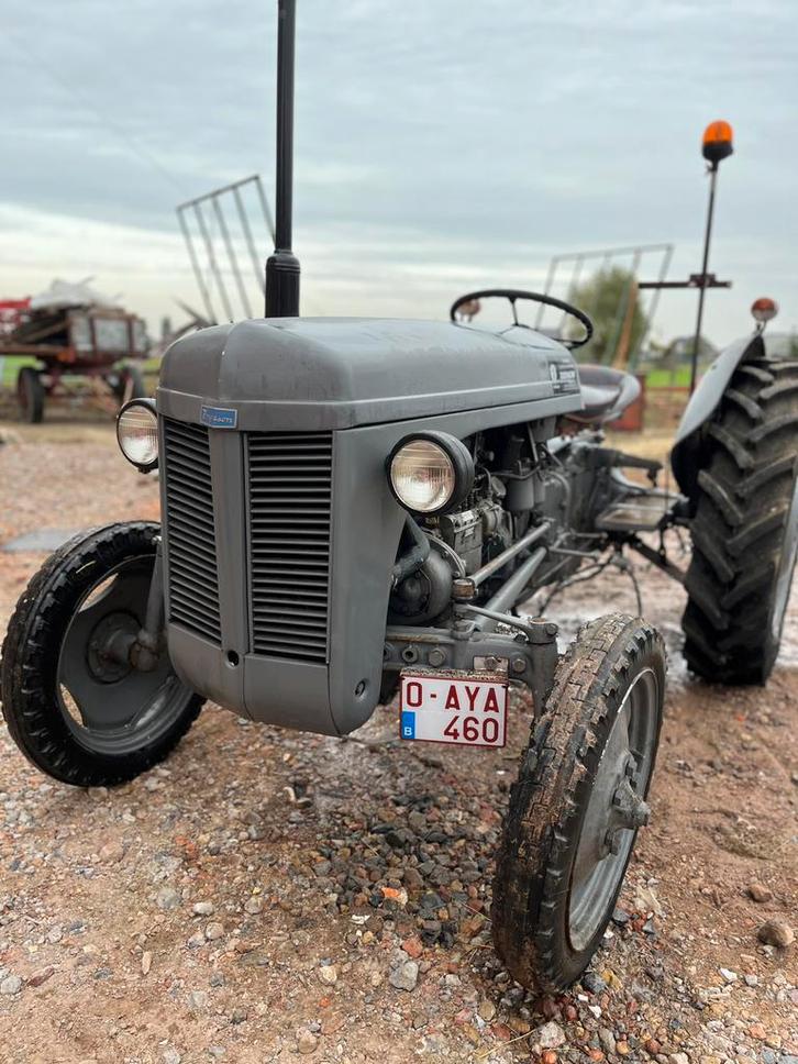 Massey Ferguson TEF 1955, Zakelijke goederen, Landbouw | Tractoren, Massey Ferguson, Ophalen