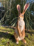 (Tuin)Beeld haas, tuin, konijn, vijver 60cm, Tuin en Terras, Ophalen, Nieuw, Kunststof, Dierenbeeld