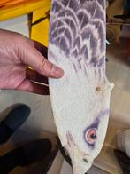 Pichler Eagle model - 1400 mm, 3s setup, Hobby en Vrije tijd, Ophalen