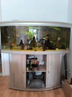 Complete aquarium, Dieren en Toebehoren, Vissen | Aquaria en Toebehoren, Ophalen, Zo goed als nieuw