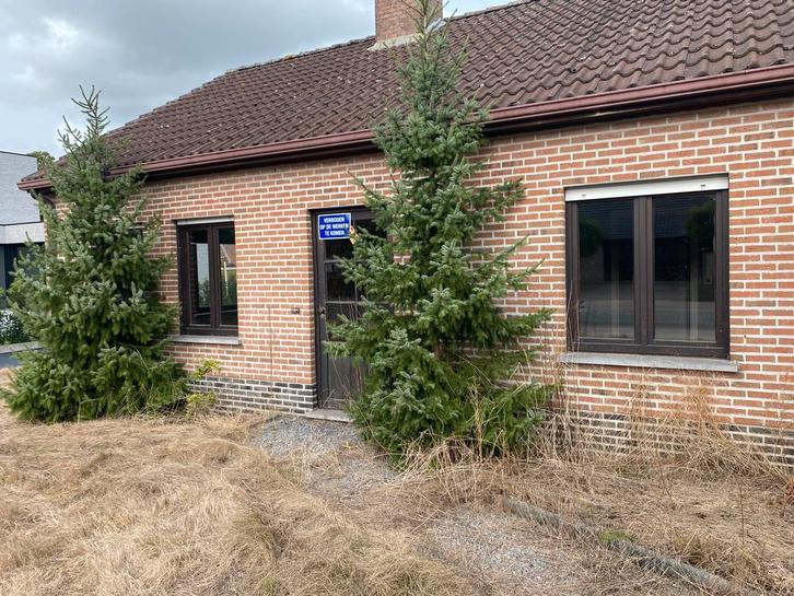 Ramen beschikbaar, Doe-het-zelf en Bouw, Glas en Ramen, Gebruikt, Ophalen of Verzenden