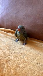 Halsbandparkiet baby, Dieren en Toebehoren