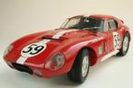 Exoto 1/18 Cobra Daytona Coupe - Le Mans 1965, Ophalen of Verzenden, Nieuw, Auto, Overige merken