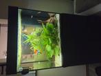 Juwel aquarium met meubel en vissen, Dieren en Toebehoren, Ophalen, Zo goed als nieuw, Gevuld zeewateraquarium