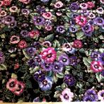 Petit Tissu - jolies Violettes sur fond Noir 45/55cm, Hobby & Loisirs créatifs, Autres couleurs, Enlèvement ou Envoi, 30 à 120 cm