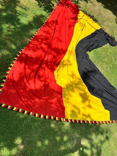 Zeldzame antieke drapeau/vlag 4 meter lang! Tricolore Belge, Antiek en Kunst, Antiek | Kleding en Textiel, Ophalen of Verzenden