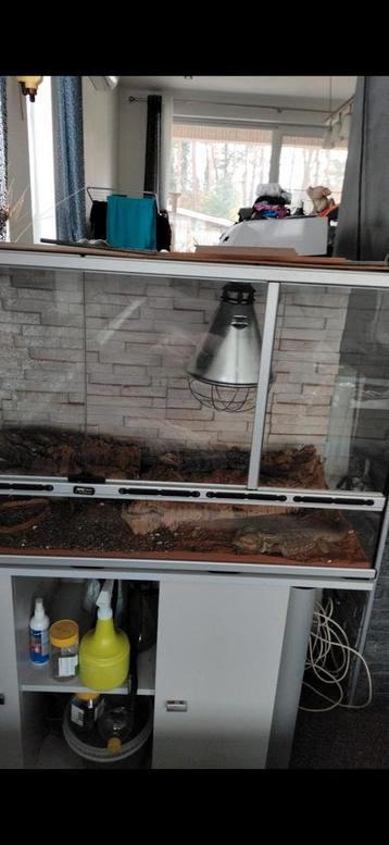 Terrarium met kast te koop