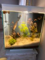 Aquarium complet, Animaux & Accessoires, Comme neuf, Enlèvement