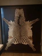 Zebra vel op canvas, Antiek en Kunst, Ophalen