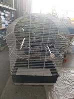 Mooie kooi en heel proper maat (H70XB50XD35)