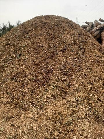 hakselhout  beschikbaar voor biedingen