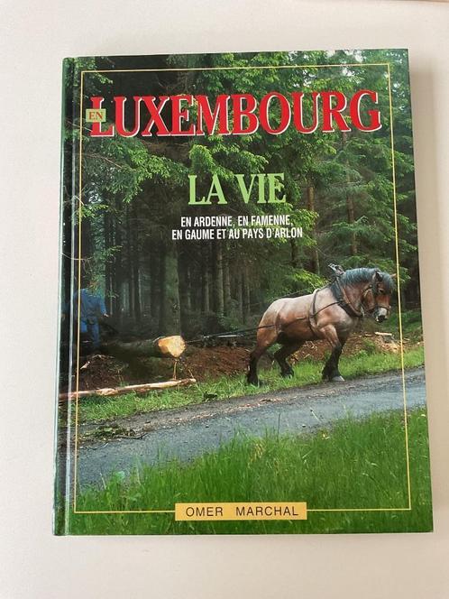 Mooi portretboek over de provincie Belgisch Luxemburg., Boeken, Streekboeken en Streekromans, Zo goed als nieuw, Ophalen of Verzenden